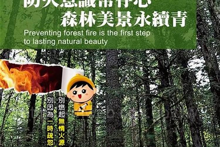 鼠年运势好的生肖有哪些