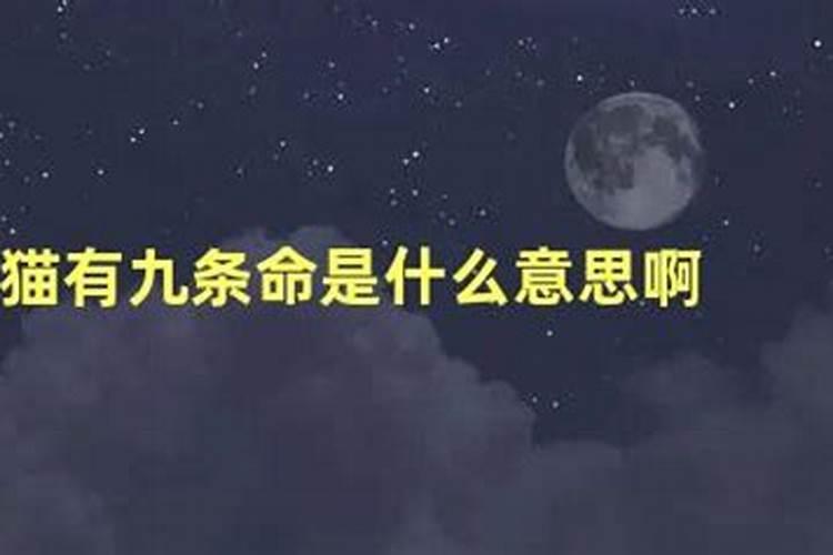 命是什么意思
