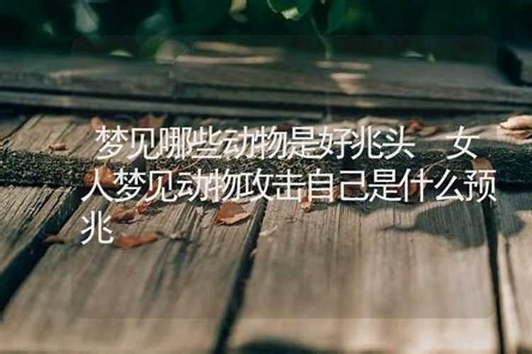 梦见各种动物是什么意思 梦见各种动物的意思