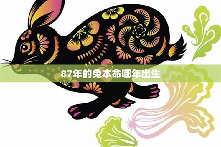 87年属兔的2025年运势