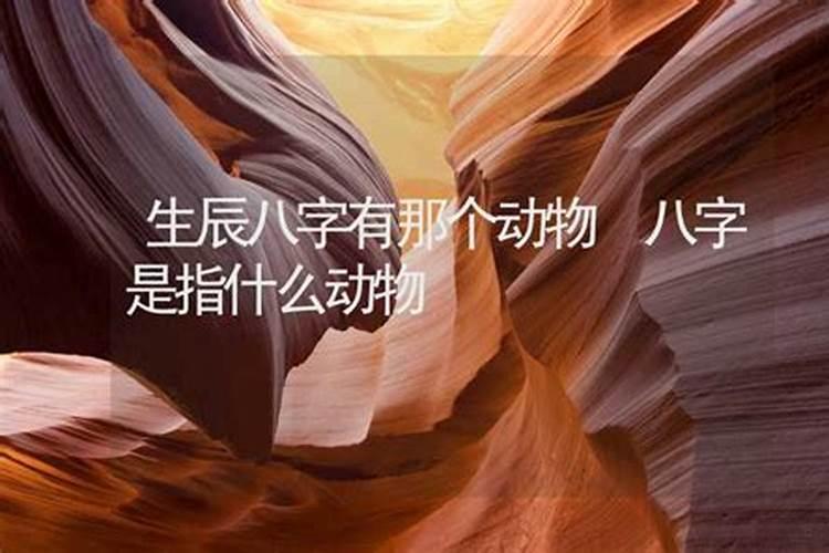 诸葛长青:怎样放生？这就是放生的仪轨