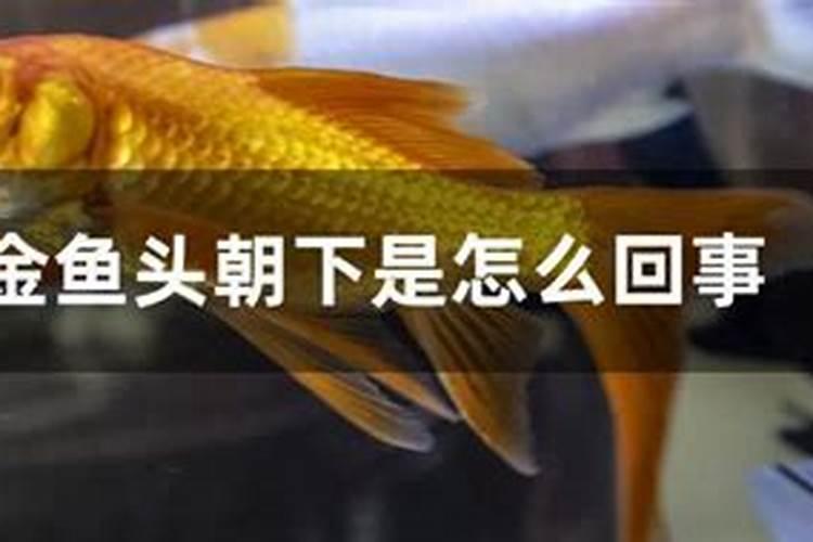 七月廿二财神节,牢记民间“3大习俗,2大禁忌”,财源滚滚事事顺百度知...