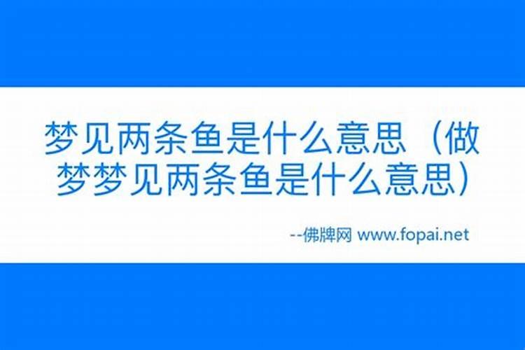 昨夜梦见了两条鱼,一大一小,却都是死的,咋回事？？？
