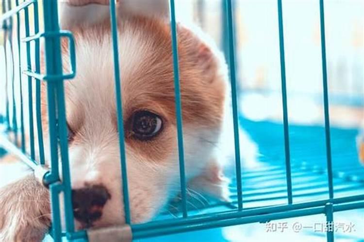 海南三亚风水大师第一人,中国最顶级的算命大师