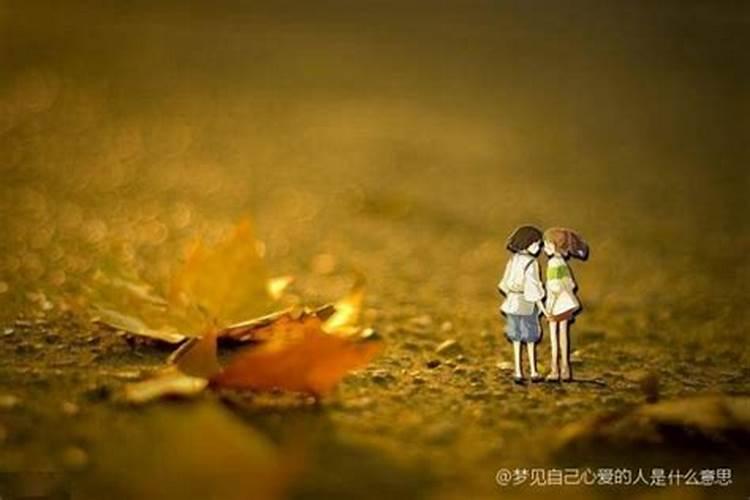 我梦到我心爱的人自杀离我而去.