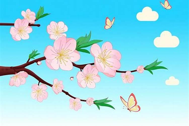 桃花煞是什么意思