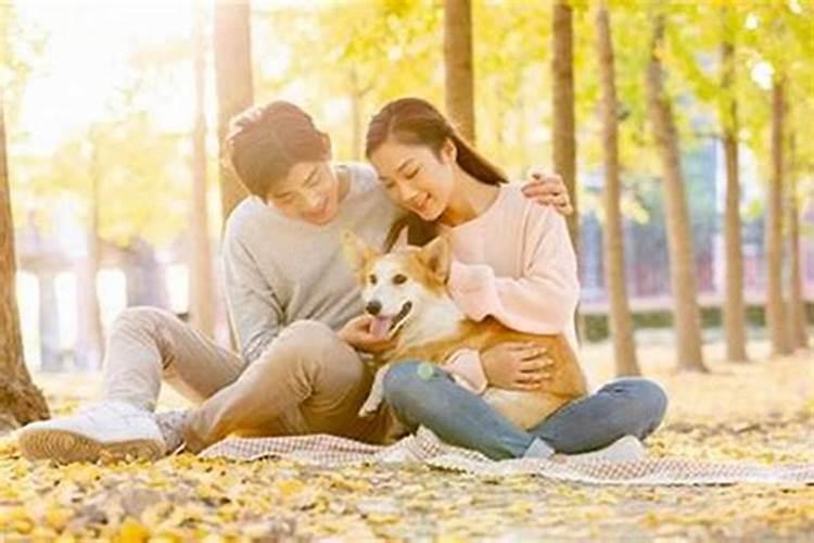 属蛇的和属狗的八字合伙生意怎么样 合不合财？