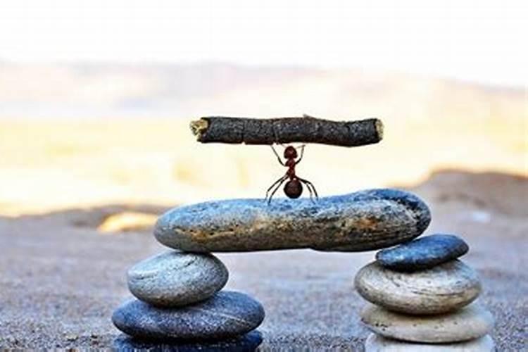 梦见成群蚂蚁爬到身上咬自己是什么意思 梦见成群蚂蚁爬到身上咬自己的...