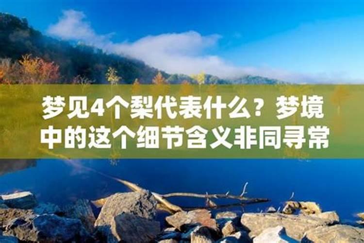 梦见四八爱情的预兆