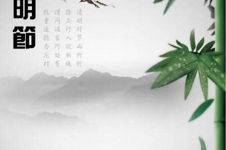 清明不让烧纸,怎么祭扫