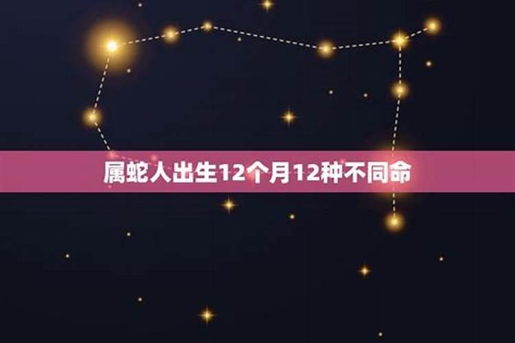 属蛇人12月出生的命运好不好？