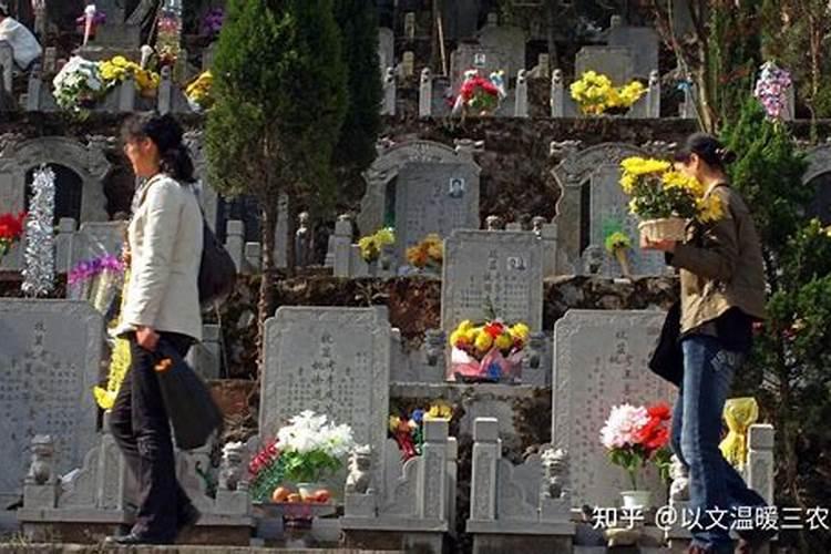 清明节去哪