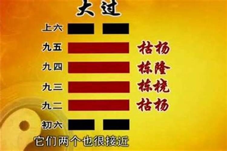 梦见牛追我还要攻击我什么预兆 梦见牛追我还要攻击我好吗