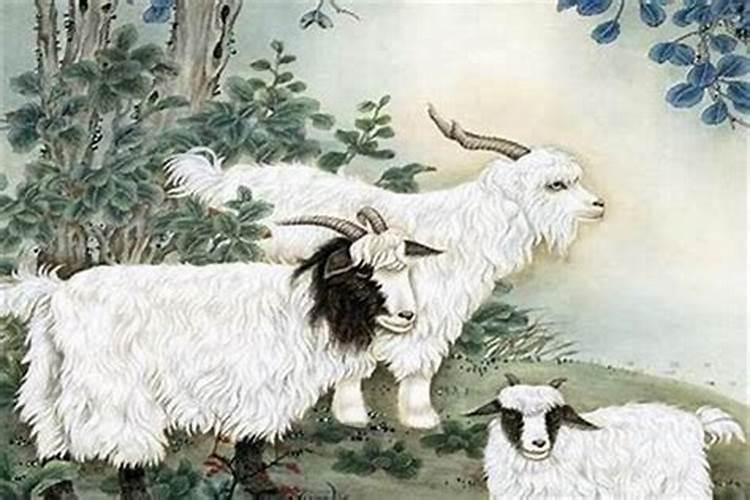 67年属羊人2025年运势