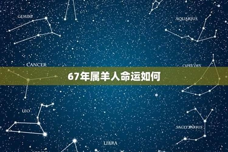 67年属羊人哪年发财哪年行大运？