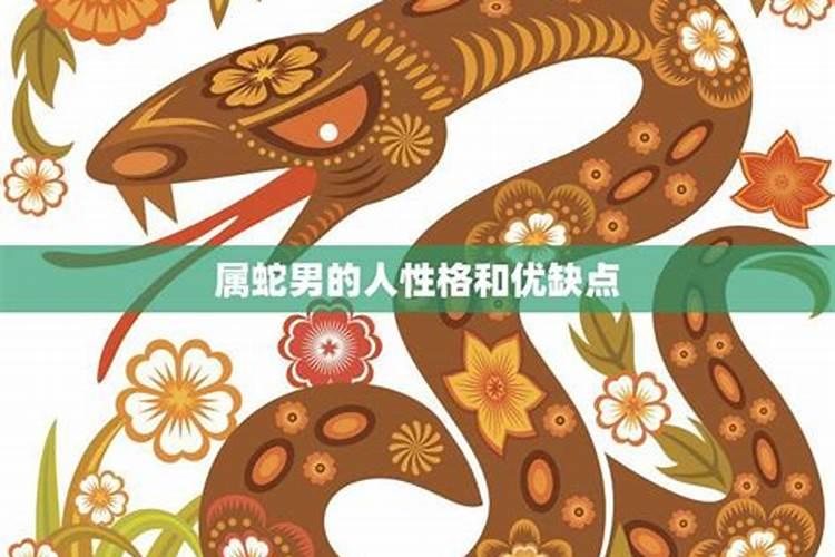属蛇的女人什么性格