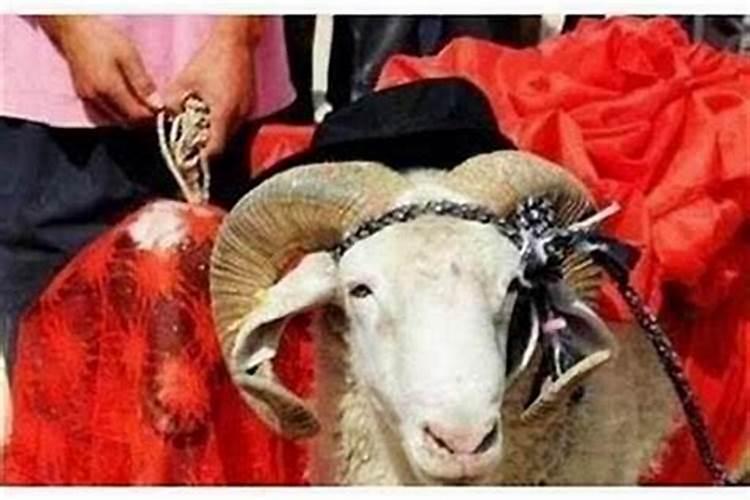 婚动是什么意思 解析婚动的具体含义？