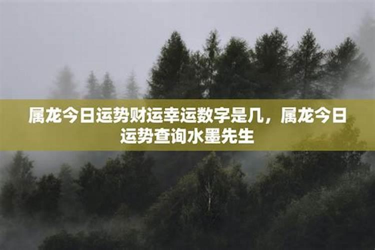 属龙2025每月运势及运程详解
