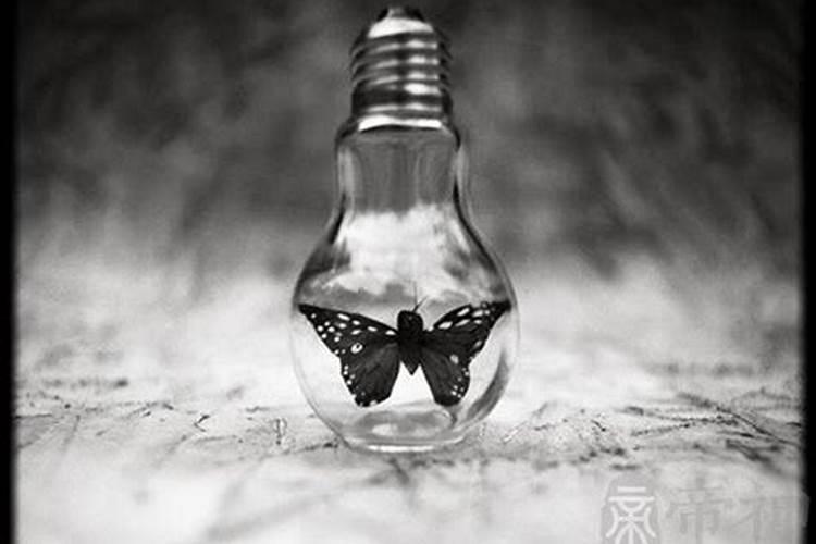 梦见吊丧的预兆