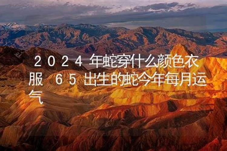 2024年属蛇人运程 在牛年中属蛇人运势很好？