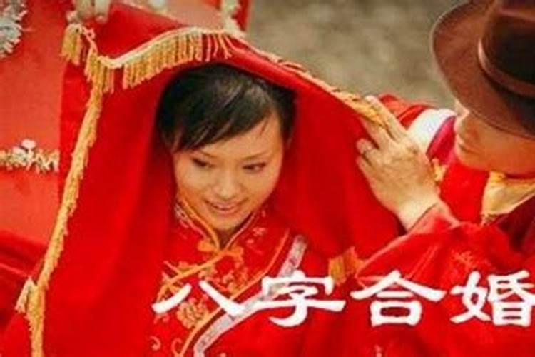 孕妇梦见死猫是什么意思 预兆