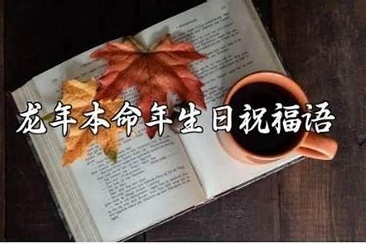 宠物店一般过年初几开门