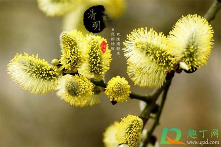 清明烧纸时间有什么讲究