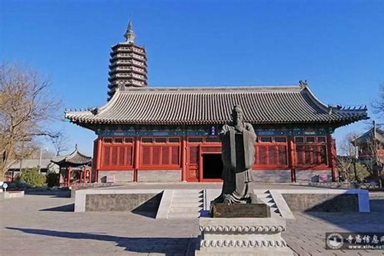 49岁属猪的什么命