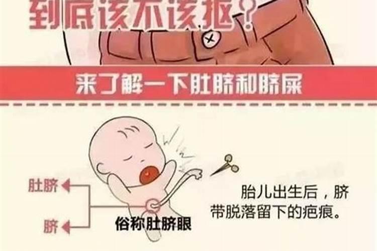 梦到肚脐眼掏出蝎子什么意思