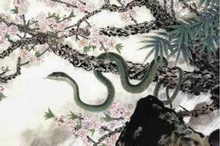 九月初九属蛇命运线