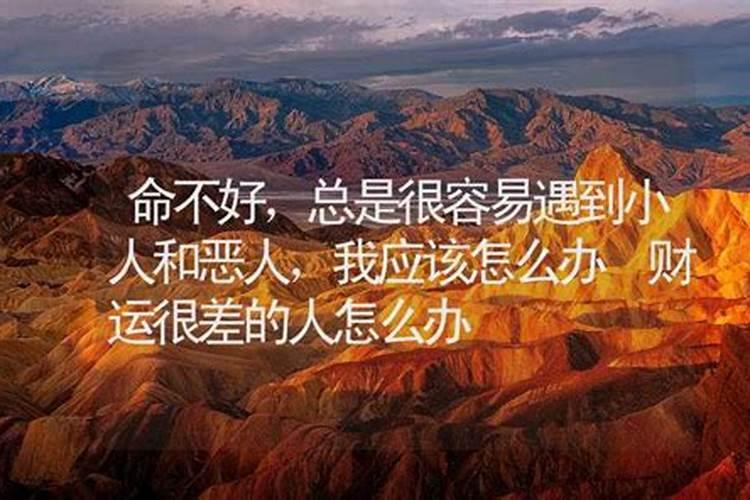 69年3月3日出生在2O17年命运如何财运