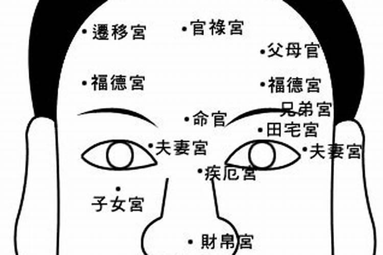 四十岁在面相上是走哪位置的运？