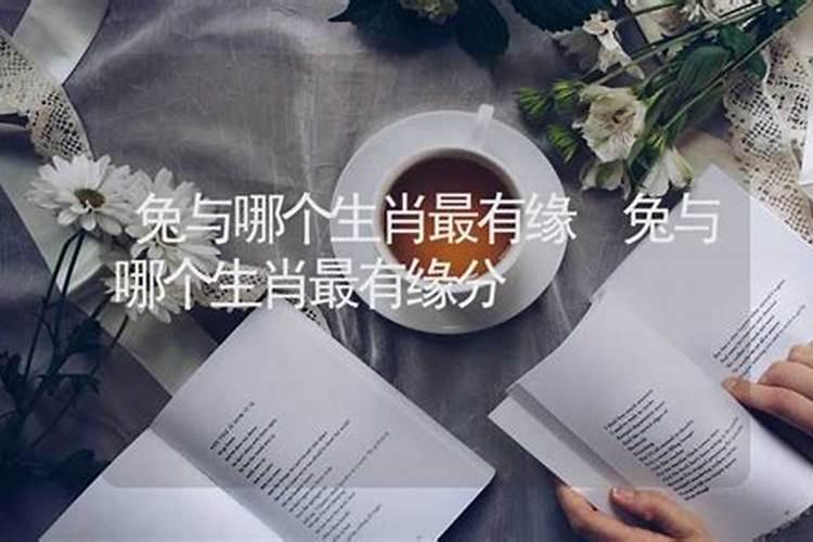 兔与哪个生肖最有缘