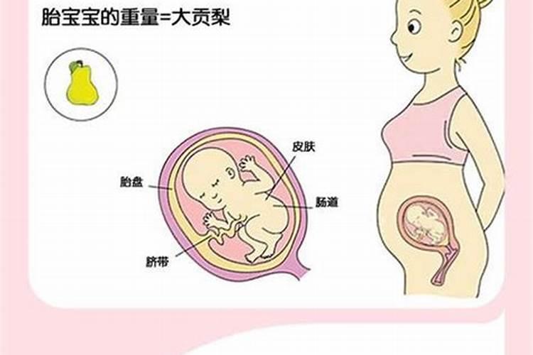 胚胎停育药流还是人流 胚胎停育是怎么回事