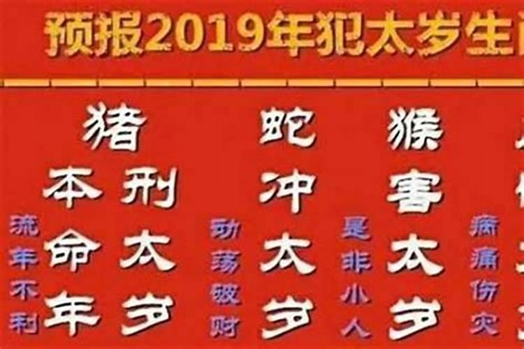 虎年哪个属相犯太岁？