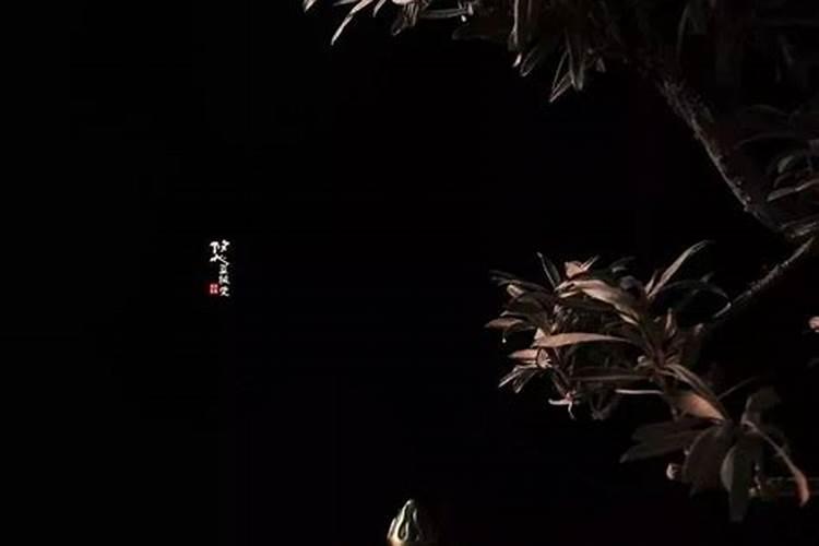 阳公忌日是哪几天