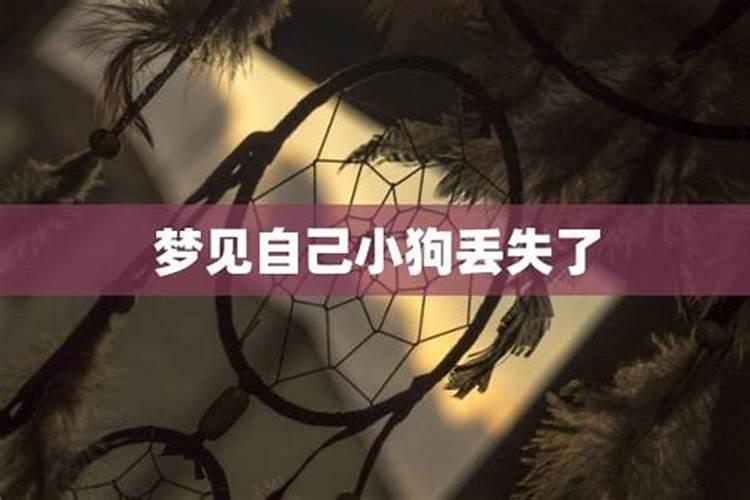 梦见把小狗弄不见了的预兆