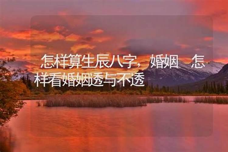 怎样看婚姻透与不透