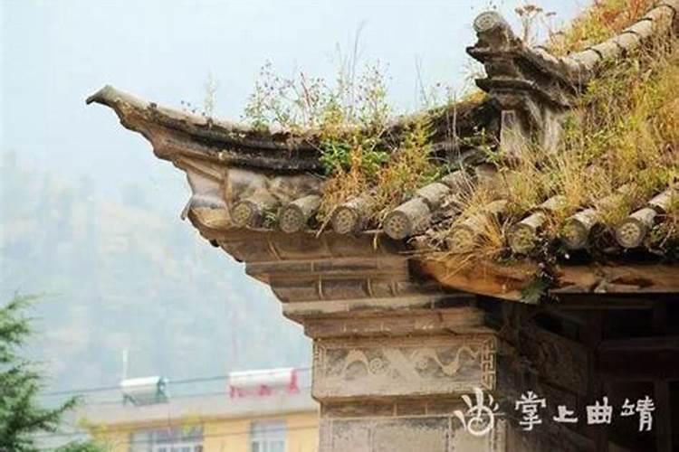 彝族有哪些传统故事？
