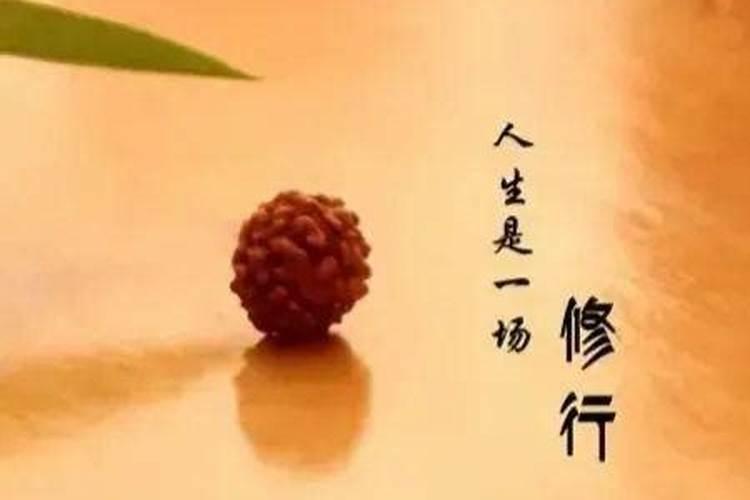 清明节气习俗