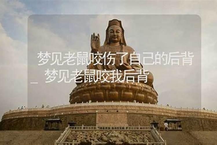 梦见头发被老鼠咬断的预兆
