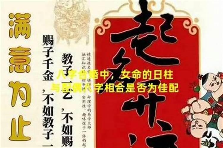 蛇跟鸡结婚属相合不合