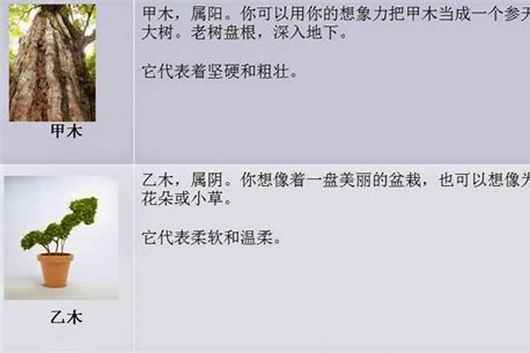 虎兔的属相合不合