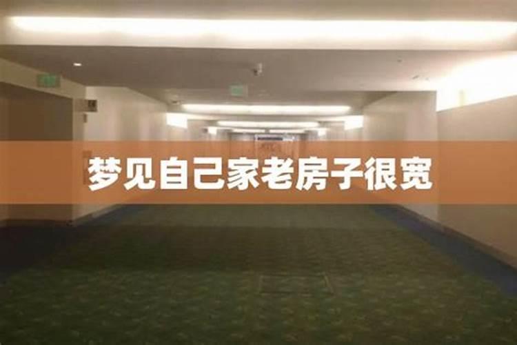 梦见爸爸问我要钱和看见老房子的预兆