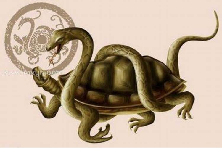 梦见死人自己害怕的预兆