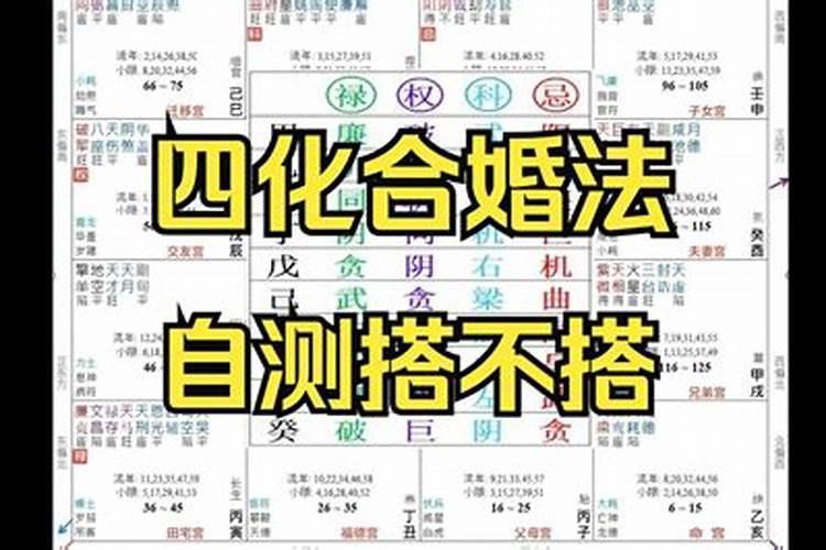 紫微斗数判断婚姻,怎样抓住重点