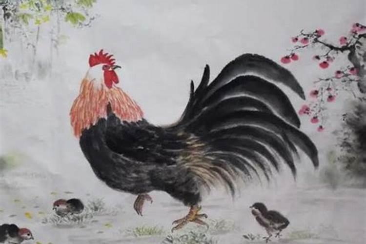 属鸡人43岁后十年运势如何