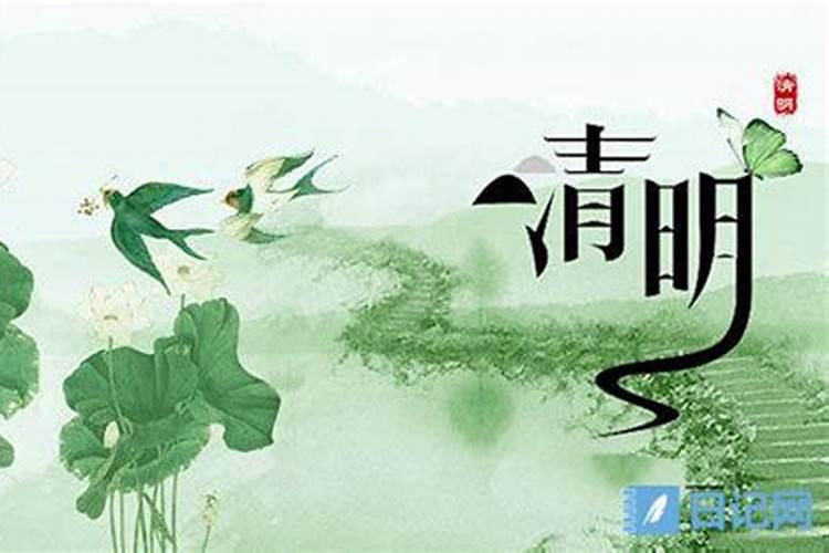 写扫墓的作文题目