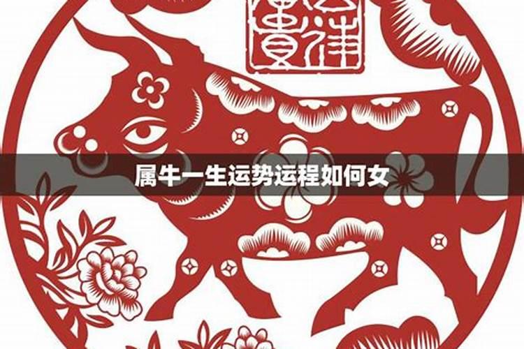 49年属牛2023到2025未来三年运势好吗？是否颐养天年？