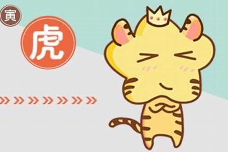 梦见自己上山捡柴是什么意思